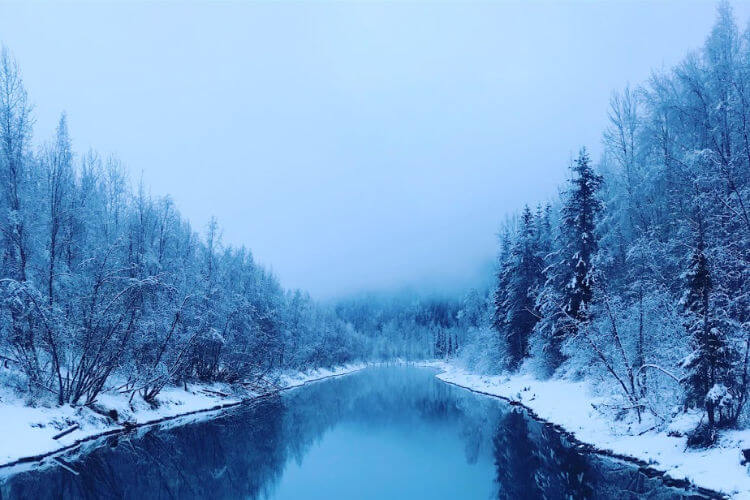 Alaska in December - Kids Are A Trip