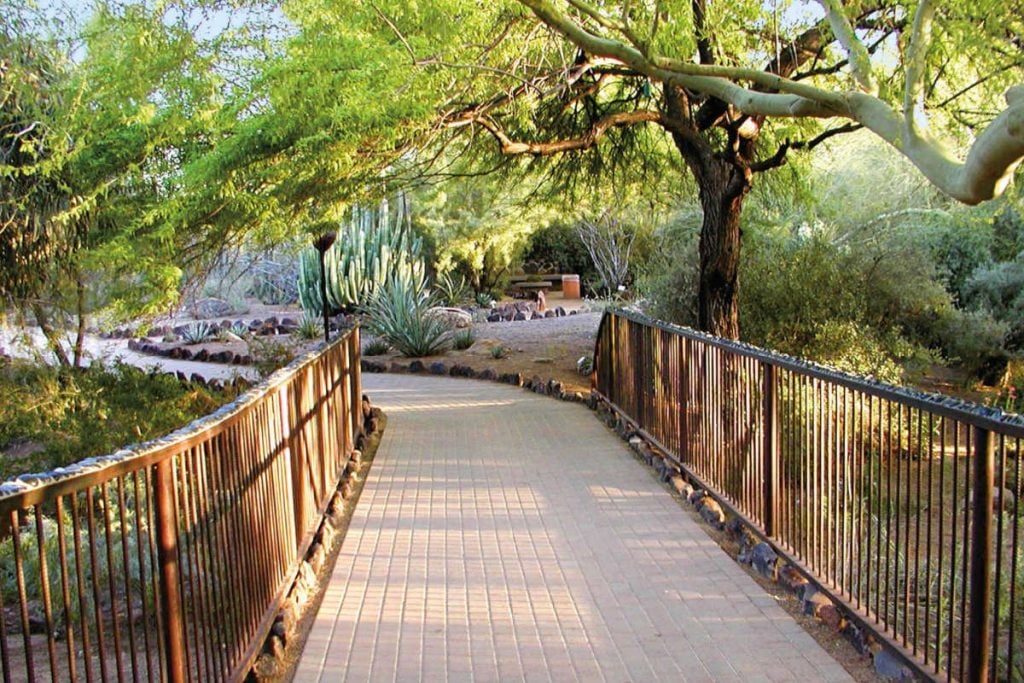 Arizona Desert Botanical Garden