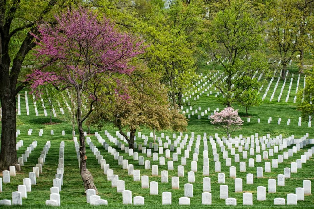 Arlington National Cemetery DC with teenagers