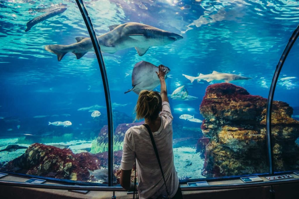 Barcelona Aquarium under the sea