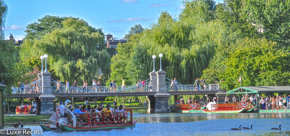 Top 5 Family Friendly Things in Boston Public Garden-Kids Are A Trip