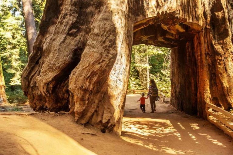50+ Best National Parks in the World Your Kids Are Going to Love!