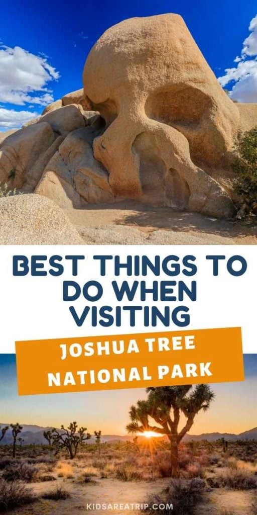 Best Things to Do at Joshua Tree National Park - Kids Are A Trip