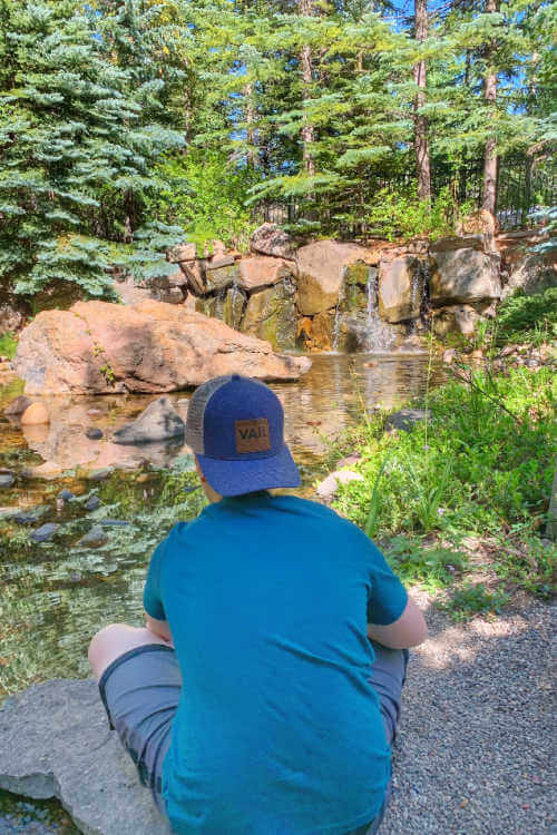 Betty Ford Gardens in Vail highest botanical garden-Kids Are A Trip