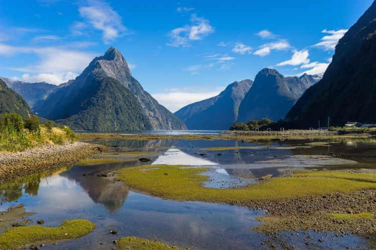 Not to Miss New Zealand Bucket List Adventures