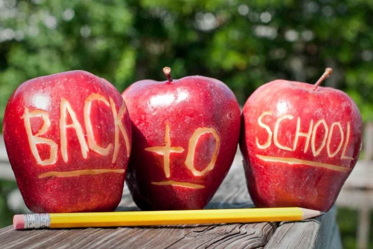 25 Easy to Pack Back to School Snacks