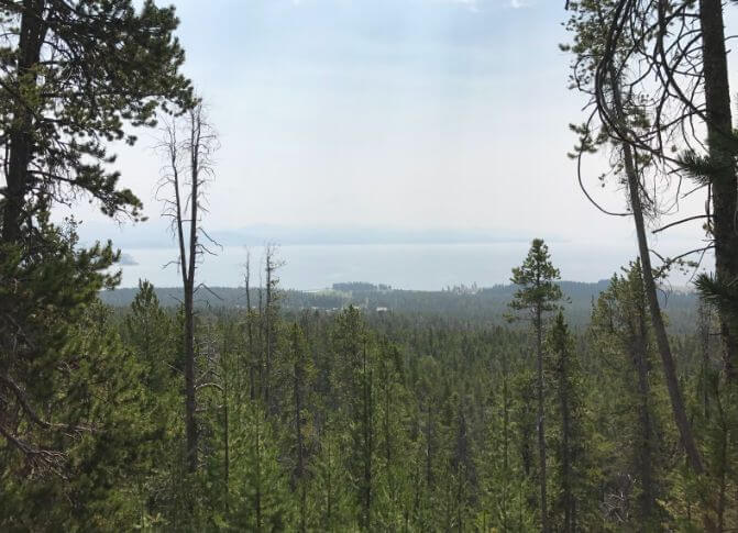 Elephant-Back-Mountain-Trail-Yellowstone-National-Park-Kids-Are-A-Trip