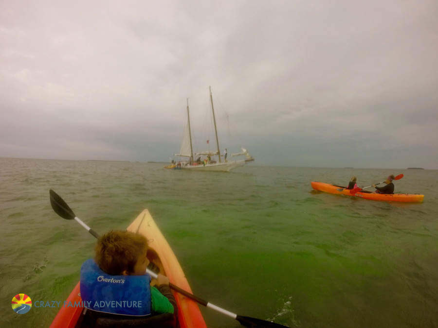 Family Friendly Things to Do in Key West Danger Charter-Kids Are A Trip