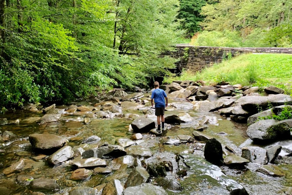 Great Smoky Mountains National Park-3