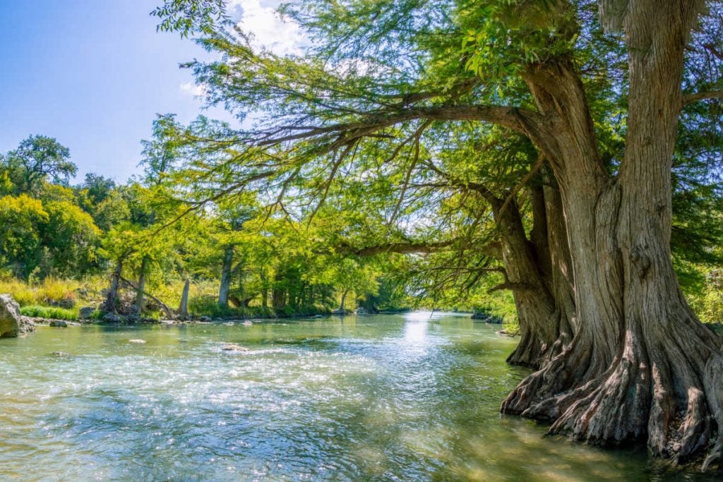 Guadalupe river state park in Texas