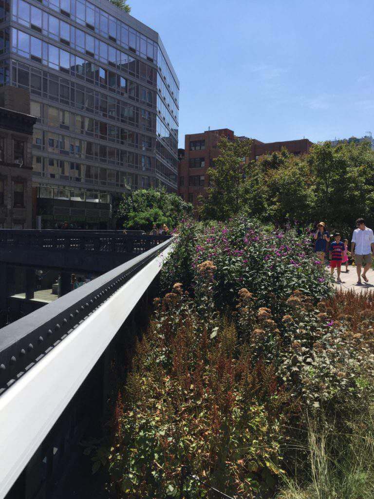 Family Friendly Things to Do in Manhattan Highline Park-Kids Are A Trip
