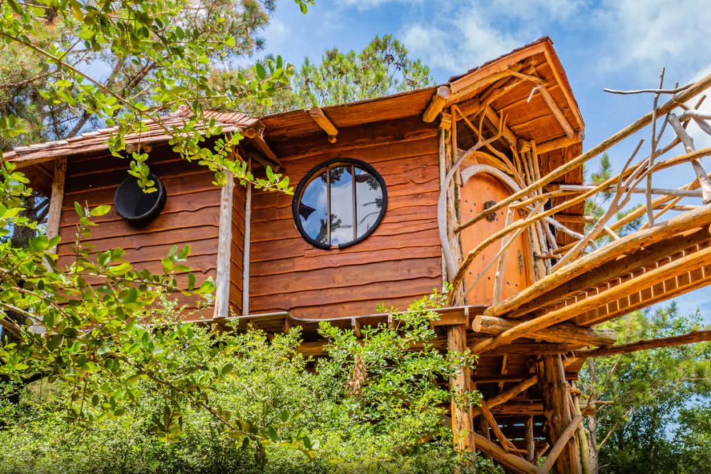 Hobbits Nest Treehouse Texas