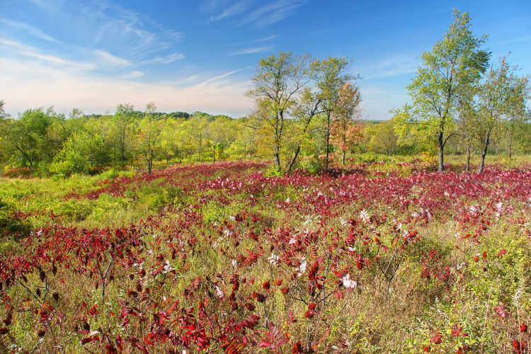 15 Awesome Day Trips from Chicago