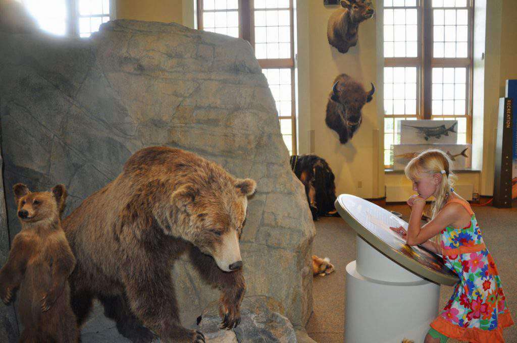 Montana Wild for Kids-Kids Are A Trip