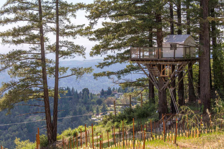 Lago Lomita Vineyard Treehouse Rental-Kids Are A Trip