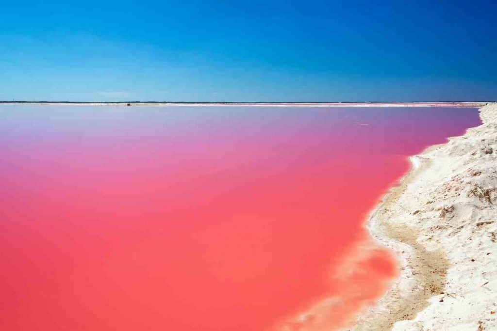Bright pink water on a beach in Mexico.