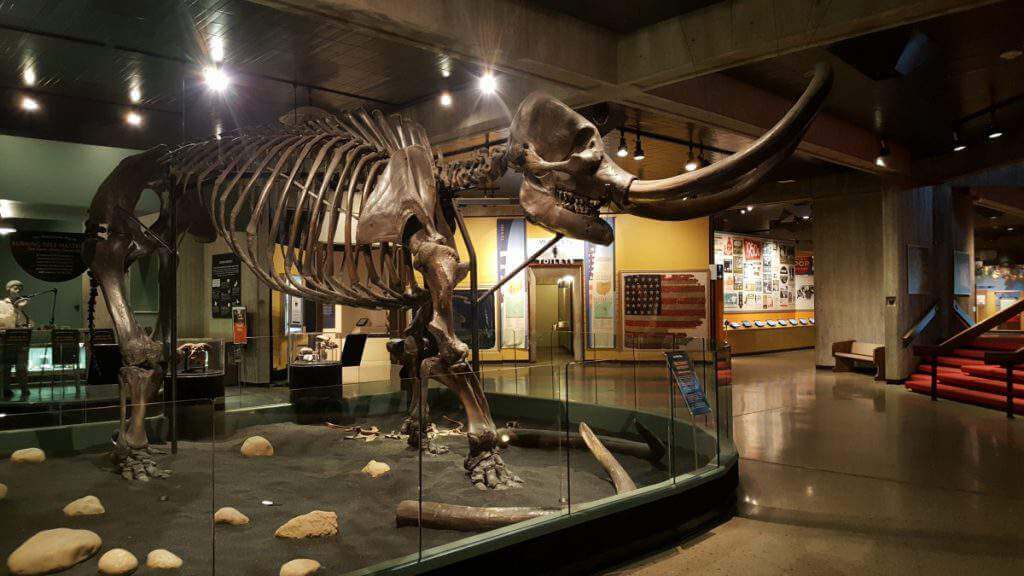 Family Friendly Things to Do in Columbus, Ohio Mastadon-Kids Are A Trip