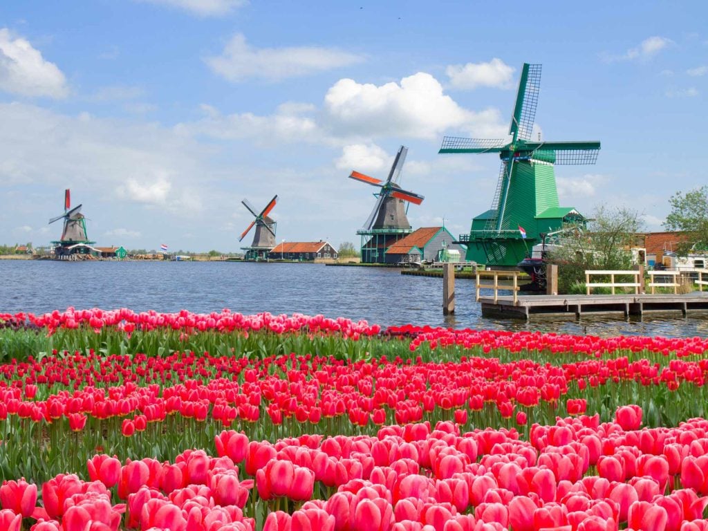 Netherlands image