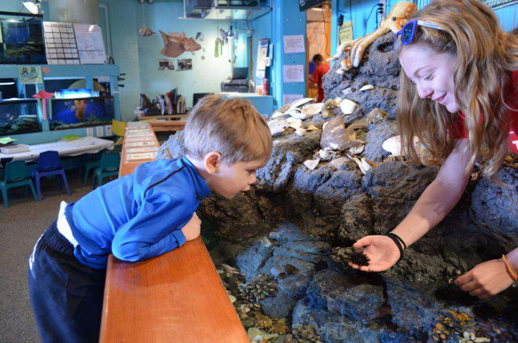 Family Friendly Things to do in Newport, Rhode Island Aquarium-Kids Are A Trip
