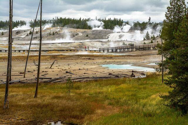 Norris Geyser Basin Yellowstone National Park with kids-Kids are A Trip