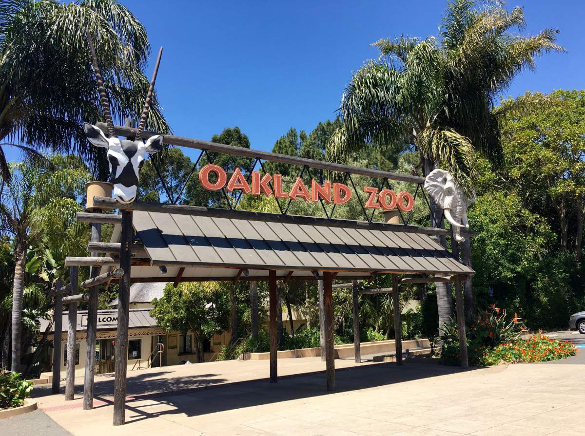 Family Friendly Things to Do in Oakland, California with Kids - Oakland Zoo-Kids Are A Trip