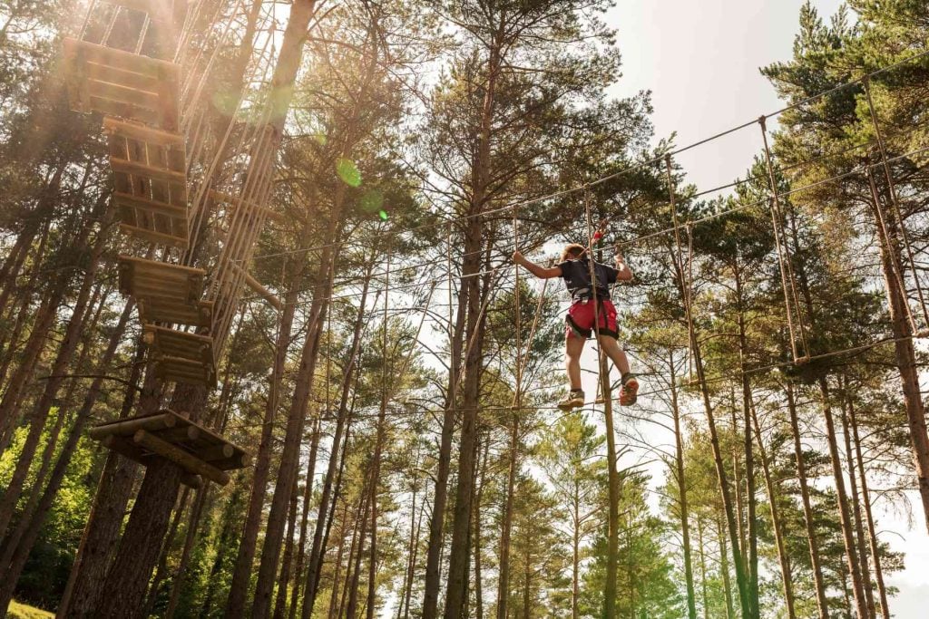 A man high in the trees on a Tree Trek Adventure Park