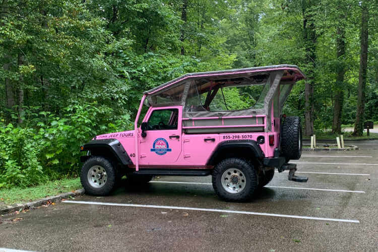 Pink Jeep in a parking lot surrounded by lush trees.