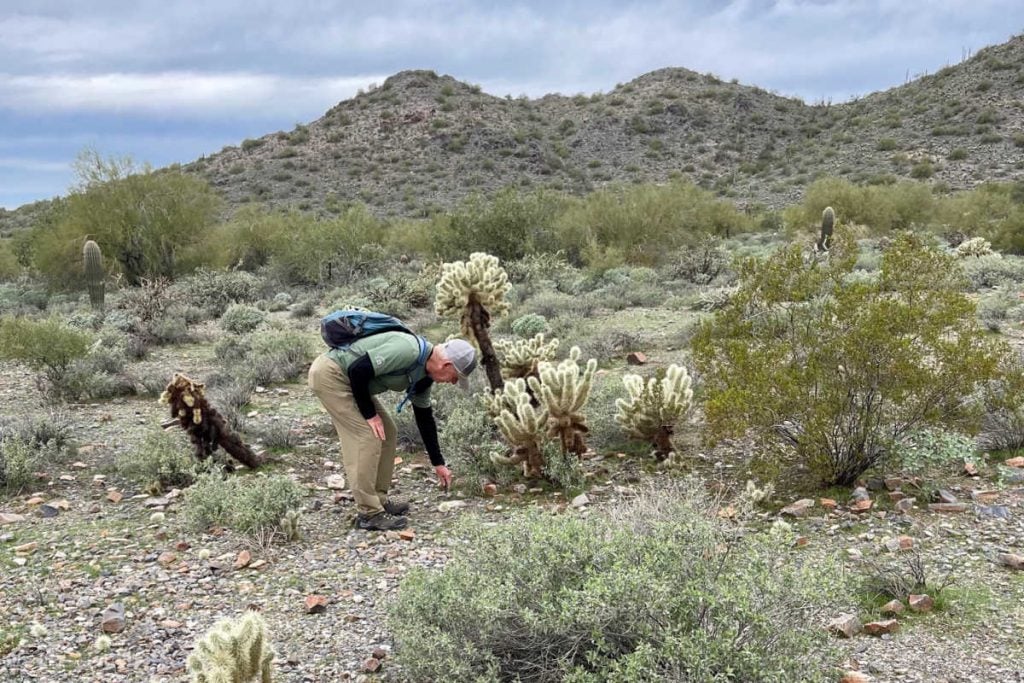 REI guide Arizona