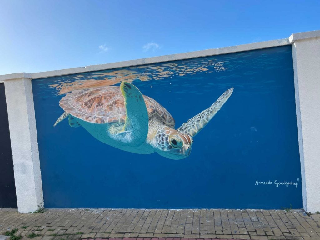 Sea turtle street art Aruba