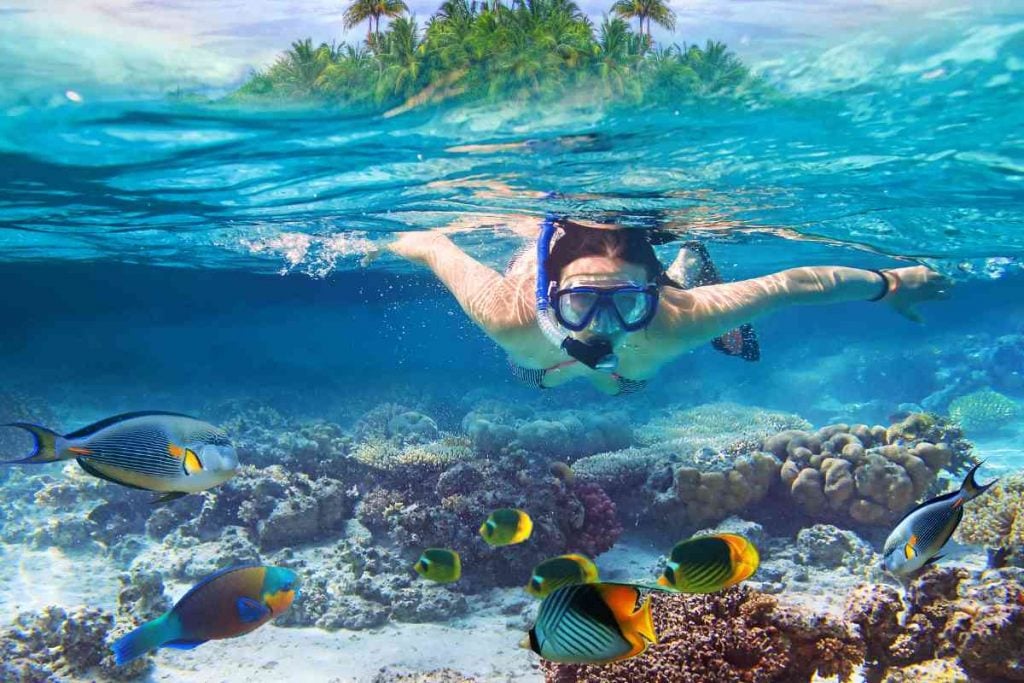 A woman underwater snorkeling and looking at the bright fish.