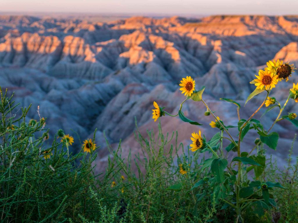 South Dakota image