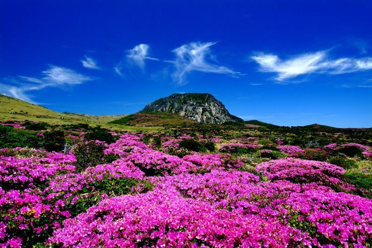 Things-to-Do-in-Korea-with-Kids-Jeju-Island-Kids-Are-A-Trip