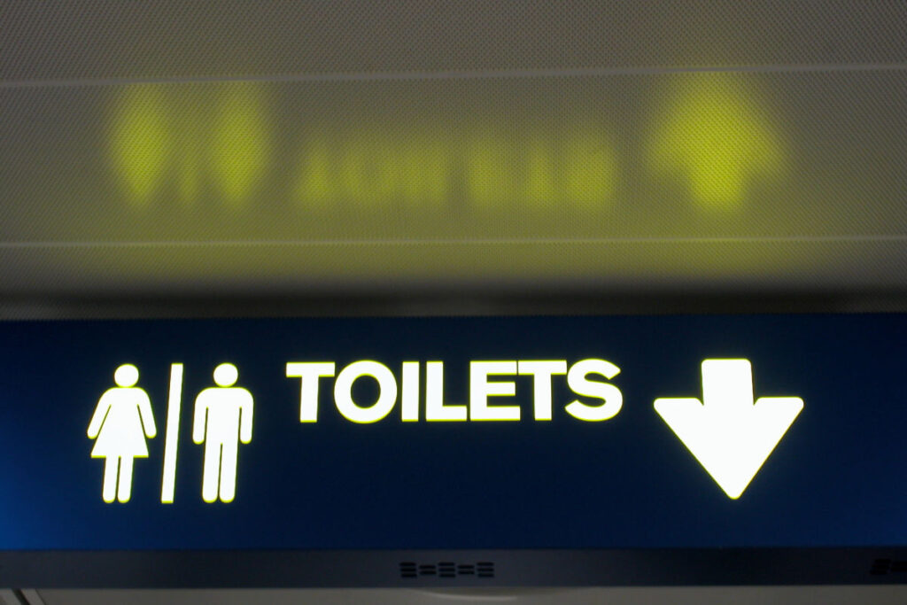 Toilets in Europe