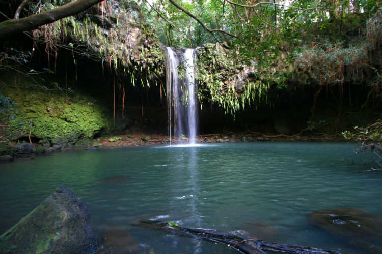 Natural pool with two waterfalls and lush greenery.