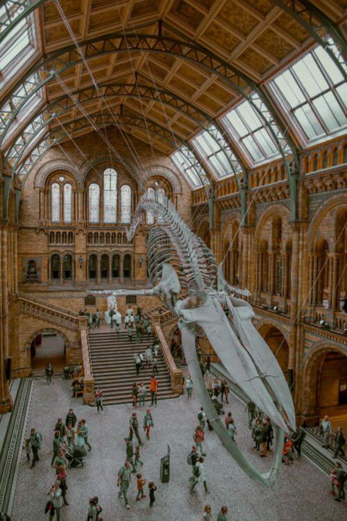 Victoria-Albert-Museum-London-for-Teens-Kids-Are-A-Trip