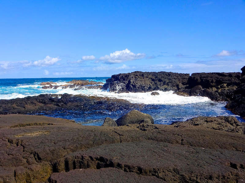 family friendly things to do in waikaloa, hawaii whale watch-kids are a trip