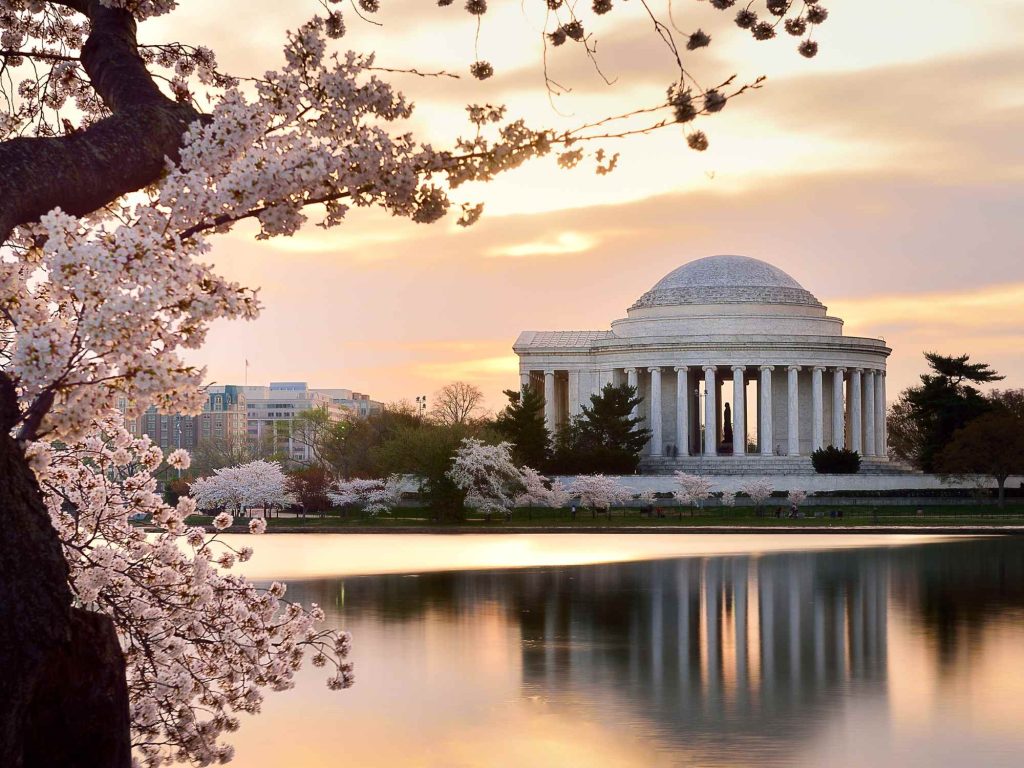 Washington DC image