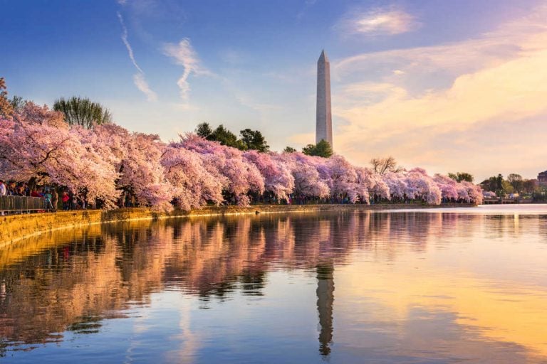 25+ Best Things to do in Washington DC with Teens