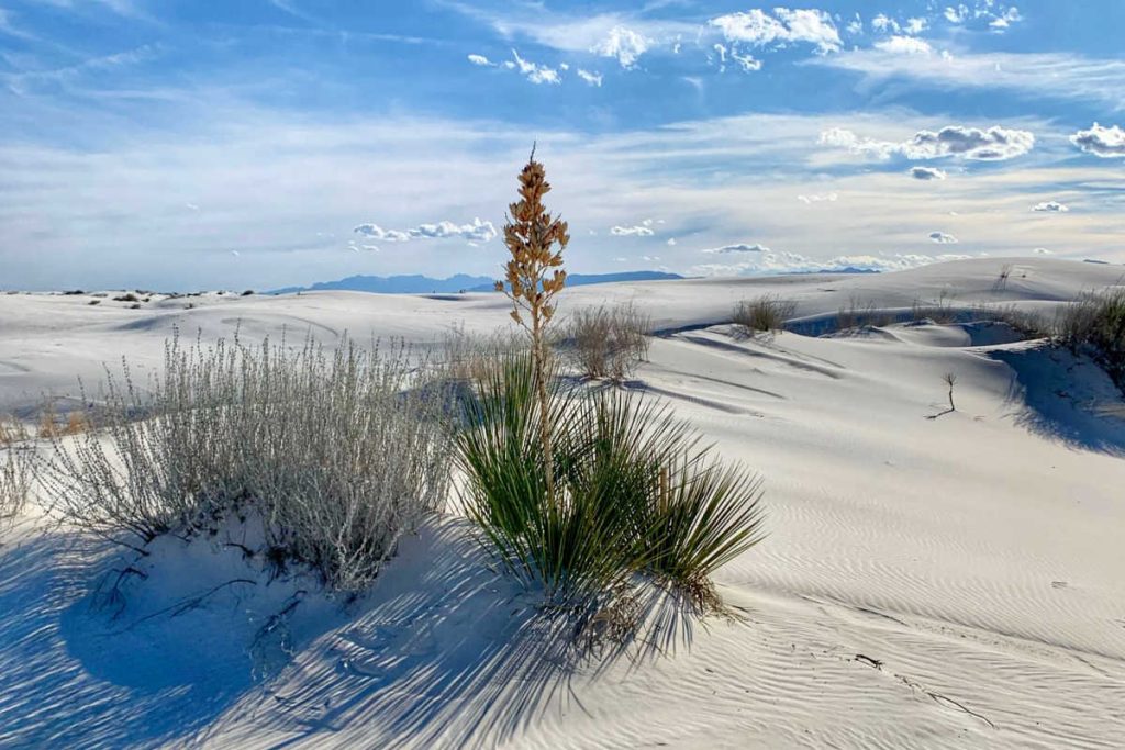 White Sands National Parks for Teens