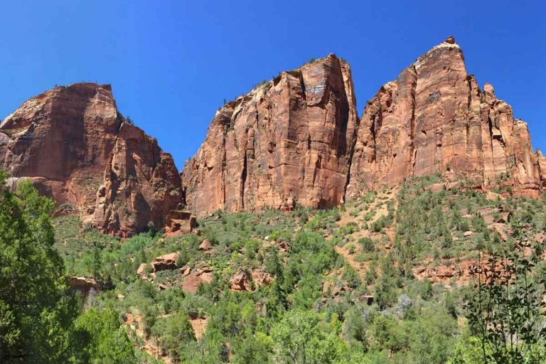 Best Things to do in Zion with kids